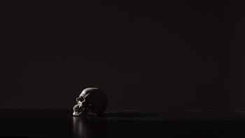 human skull on black background
