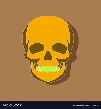 Human skull paper sticker on stylish background vector image