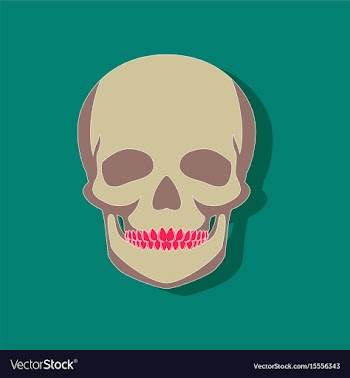 Human skull paper sticker on stylish background vector image