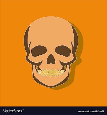 Human skull paper sticker on stylish background vector image