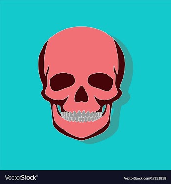 Human skull paper sticker on stylish background vector image