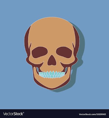 Human skull paper sticker on stylish background vector image