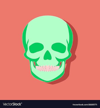 Human skull paper sticker on stylish background vector image