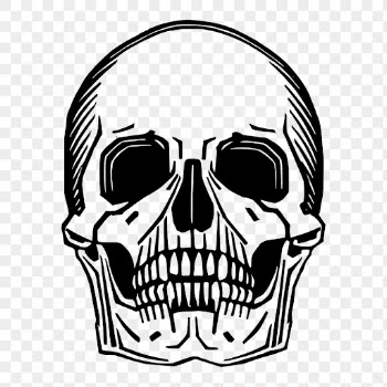 Human skull png sticker vintage | Free PNG - rawpixel