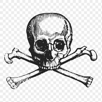 Human skull png sticker vintage | Free PNG - rawpixel
