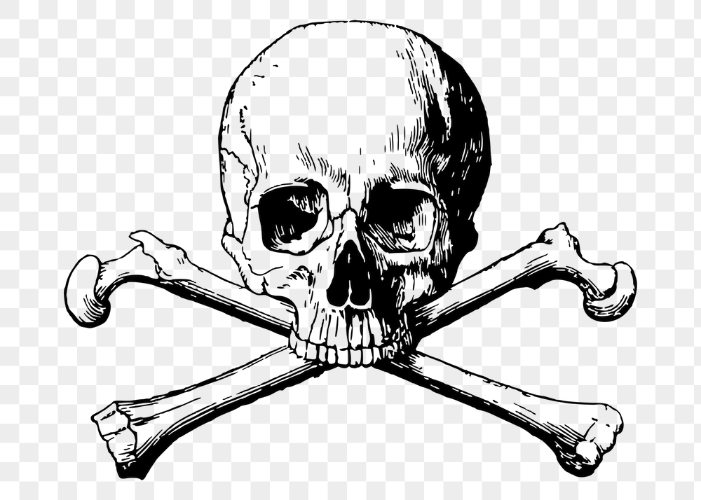 Human skull png sticker, vintage | Free PNG - rawpixel