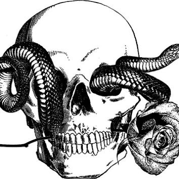 human skull snake tattoo art rose png from DigitalGraphicsShop on