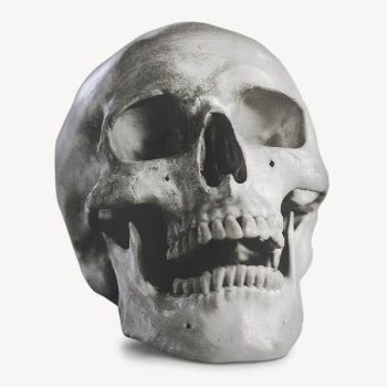 Human skull sticker, Halloween decor | Free PSD - rawpixel