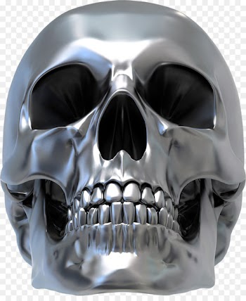 Human skull symbolism Silver Sticker Decal - Silver Skull Vector 