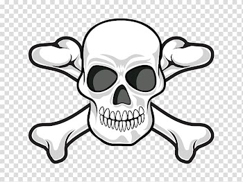 Human skull symbolism Skull and crossbones Jolly Roger, Personality skull transparent background PNG clipart
