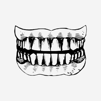 Human teeth drawing, vintage dental | Free Photo - rawpixel