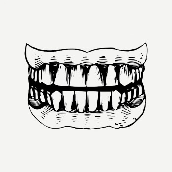 Human teeth drawing, vintage dental | Free PSD - rawpixel