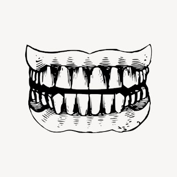 Human teeth drawing, vintage dental | Free Vector - rawpixel