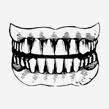 Human teeth, healthy dental illustration. | Free Photo Illustration - rawpixel