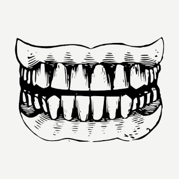 Human teeth, healthy dental illustration | Free PSD Illustration - rawpixel