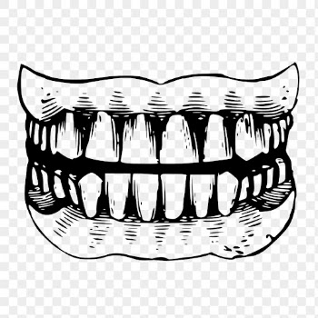 Human teeth png, vintage dental | Free PNG - rawpixel