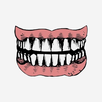 Human teeth, vintage dental illustration. | Free Photo - rawpixel