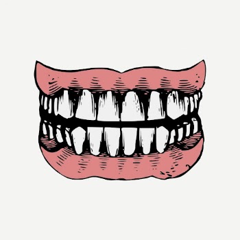 Human teeth, vintage dental illustration | Free PSD - rawpixel