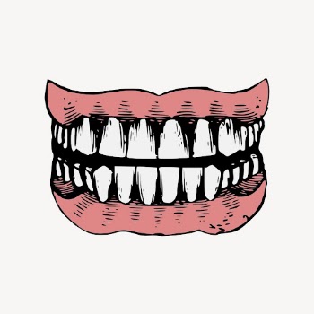 Human teeth, vintage dental illustration | Free Vector - rawpixel