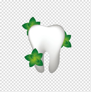 Human tooth Dentistry Dental floss Gums, leaf transparent background PNG clipart