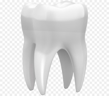 Human tooth Portable Network Graphics Dentistry Vector graphics - crown 