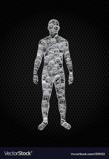 Human vector image