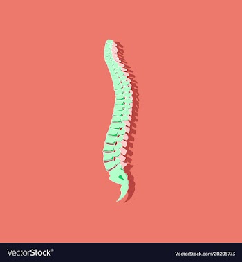 Human vertebral column paper sticker on stylish vector image