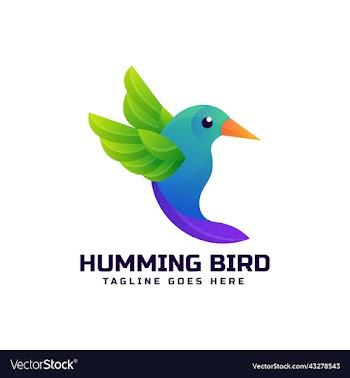 humming bird
