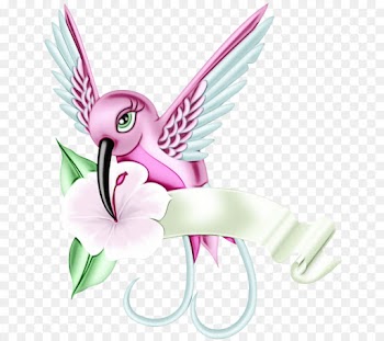 Hummingbird
