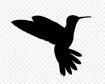 Hummingbird Beak Clip art Fauna -  