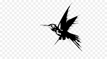 Hummingbird Beak Fauna -  