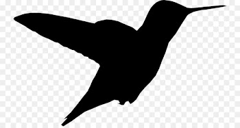 Hummingbird Clip art Fauna Beak Silhouette -  