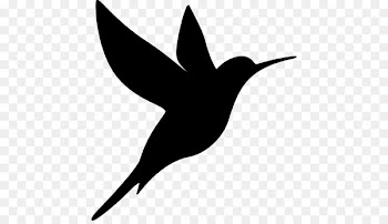 Hummingbird Computer Icons Clip art - Bird 