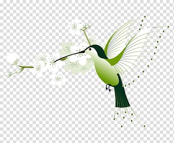 Hummingbird Euclidean Flower, Cartoon birds hand-painted flowers edge transparent background PNG clipart