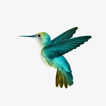 Hummingbird, Hummingbird Clipart, Birds PNG Transparent Image and ...