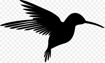 Hummingbird Silhouette Clip art - Bird 