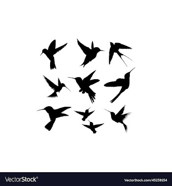 hummingbird silhouette icon collection design