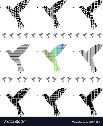 Hummingbird Silhouette Set vector image