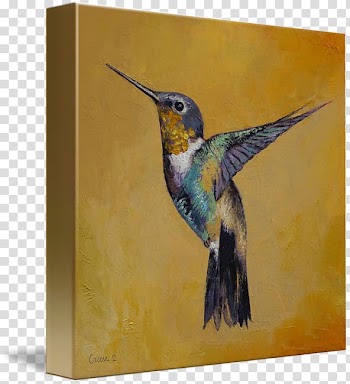 Hummingbird Watercolor painting Canvas print, painting transparent background PNG clipart
