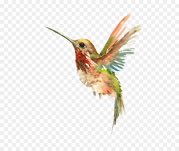 Hummingbird Watercolor painting Tattoo - Flying Bird 