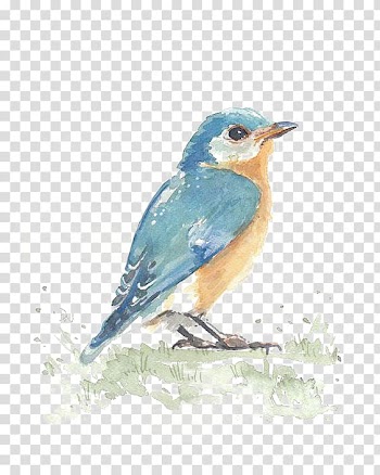 Hummingbird Watercolor painting Visual arts, Birds transparent background PNG clipart