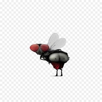 Humour Insect wing Icon - Funny fly 