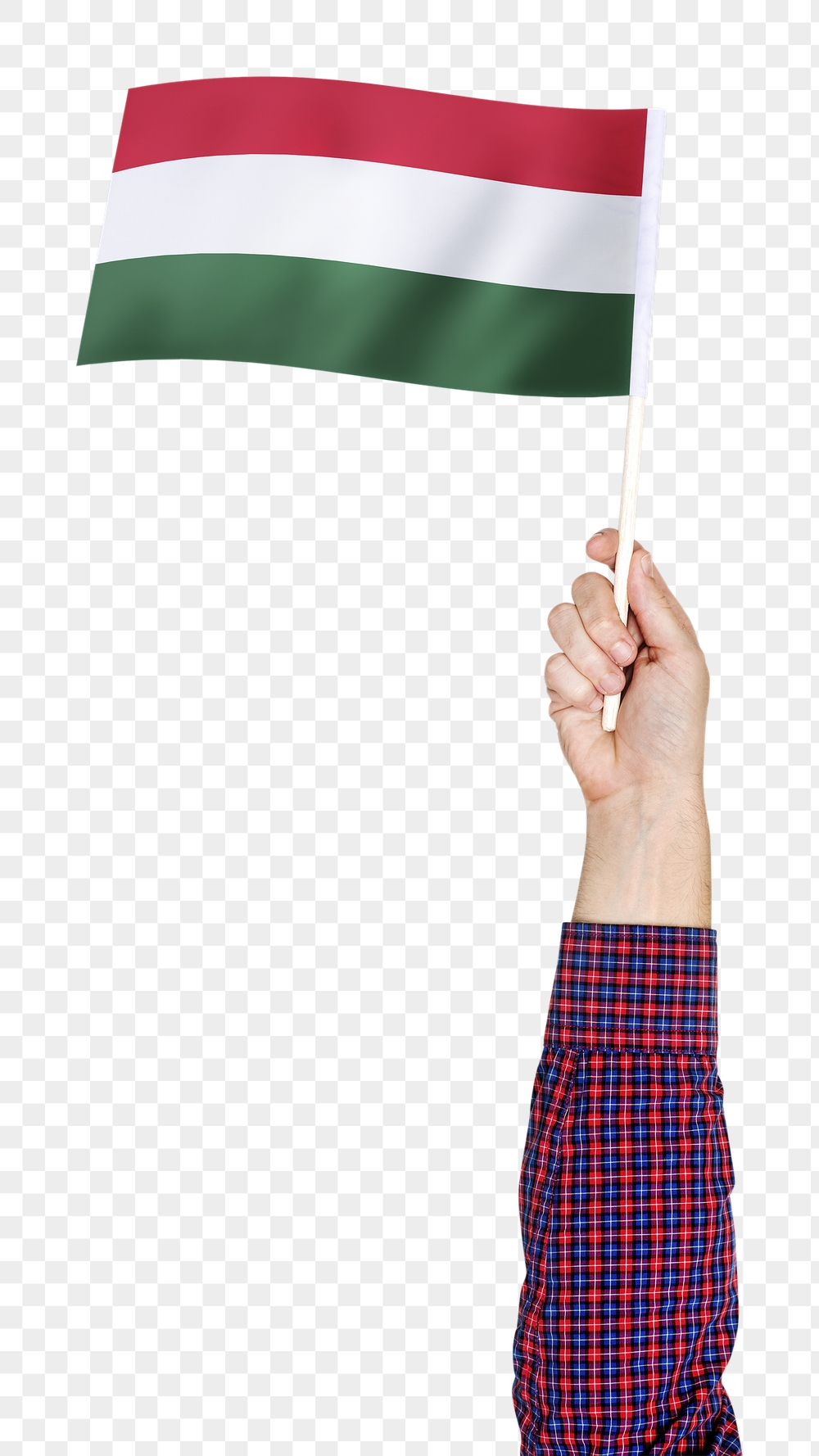 Hungary's flag png in hand | Free PNG - rawpixel