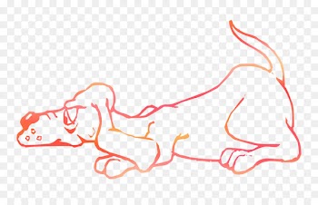 Hunting dog Drawing Coloring book Image -  