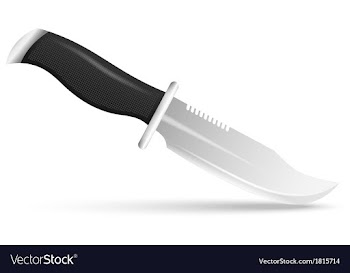 Hunting knife on a white background vector image