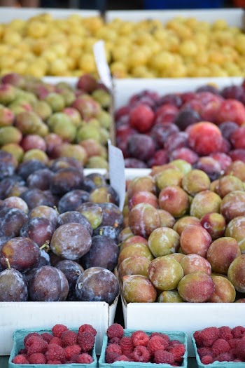 Huntington farmer's market  | Free Photo - rawpixel