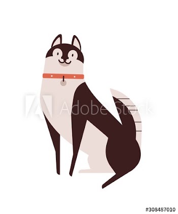 Husky dog flat vector illustration