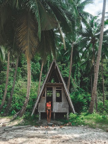 Hut Under Palm Tree