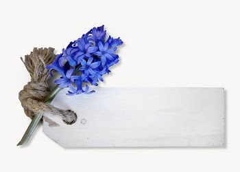 Hyacinth & label image, isolated | Free Photo - rawpixel