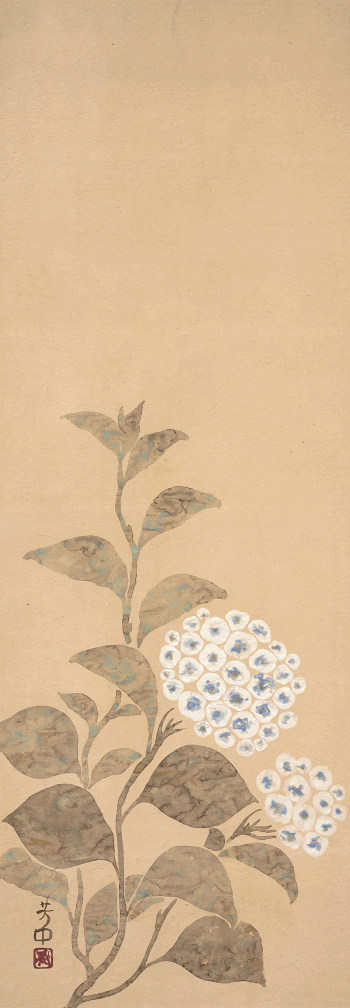Hydrangea during early 19th century | Free Photo - rawpixel
